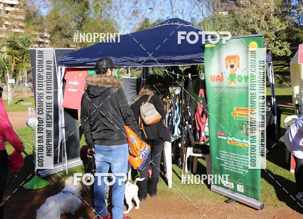 Buy your photos of the eventVai Tot� Canicross Caxias do Sul on Fotop