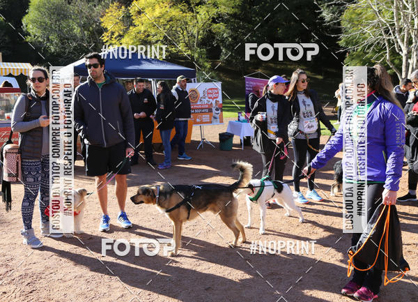 Buy your photos of the eventVai Tot� Canicross Caxias do Sul on Fotop