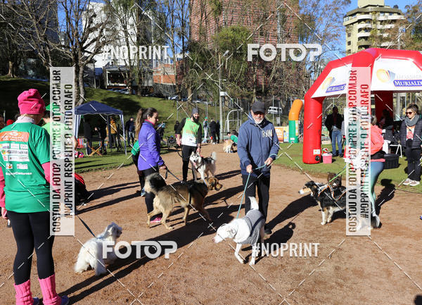 Buy your photos of the eventVai Tot� Canicross Caxias do Sul on Fotop
