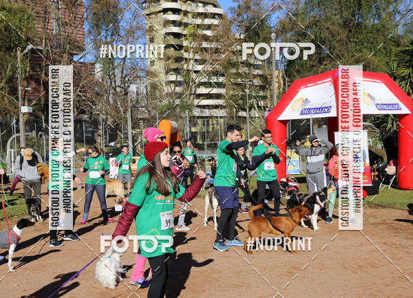 Buy your photos of the eventVai Tot� Canicross Caxias do Sul on Fotop