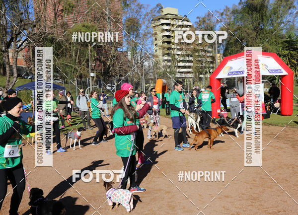 Buy your photos of the eventVai Tot� Canicross Caxias do Sul on Fotop