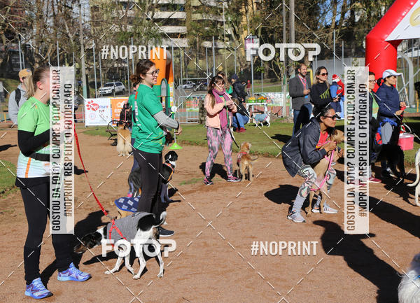 Buy your photos of the eventVai Tot� Canicross Caxias do Sul on Fotop