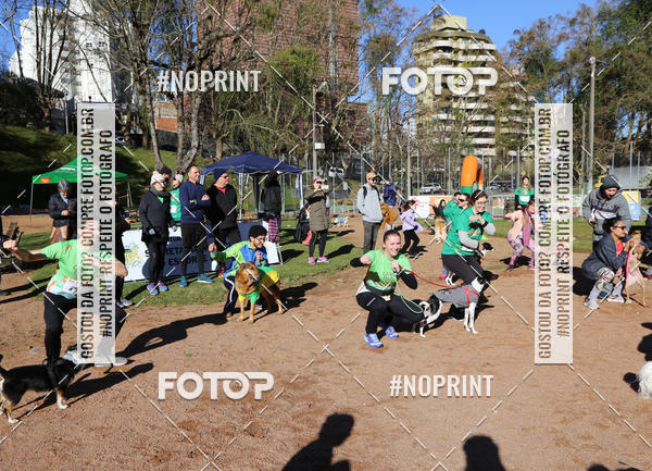 Buy your photos of the eventVai Tot� Canicross Caxias do Sul on Fotop