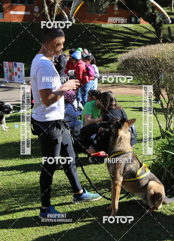 Buy your photos of the eventVai Tot� Canicross Caxias do Sul on Fotop