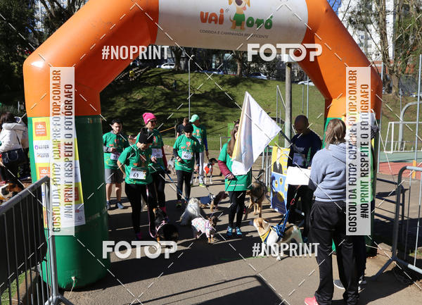 Buy your photos of the eventVai Tot� Canicross Caxias do Sul on Fotop
