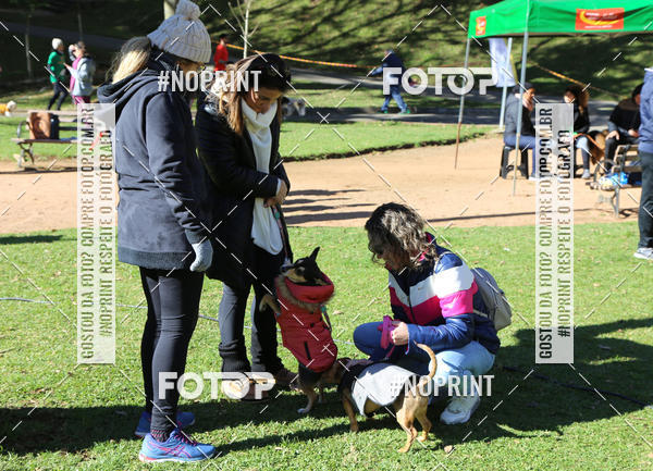 Buy your photos of the eventVai Tot� Canicross Caxias do Sul on Fotop