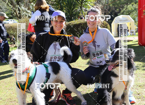 Buy your photos of the eventVai Tot� Canicross Caxias do Sul on Fotop