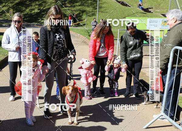 Buy your photos of the eventVai Tot� Canicross Caxias do Sul on Fotop