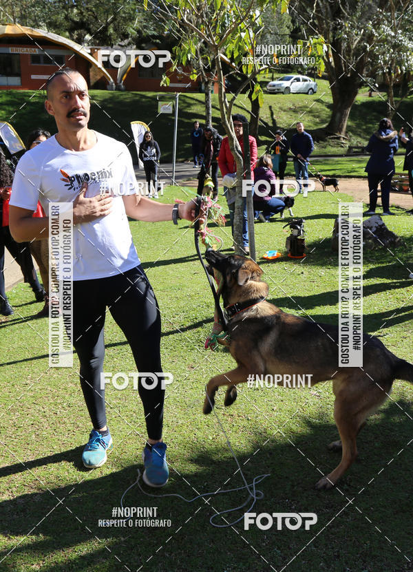 Buy your photos of the eventVai Tot� Canicross Caxias do Sul on Fotop