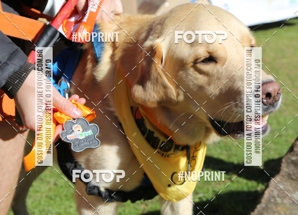 Buy your photos of the eventVai Tot� Canicross Caxias do Sul on Fotop