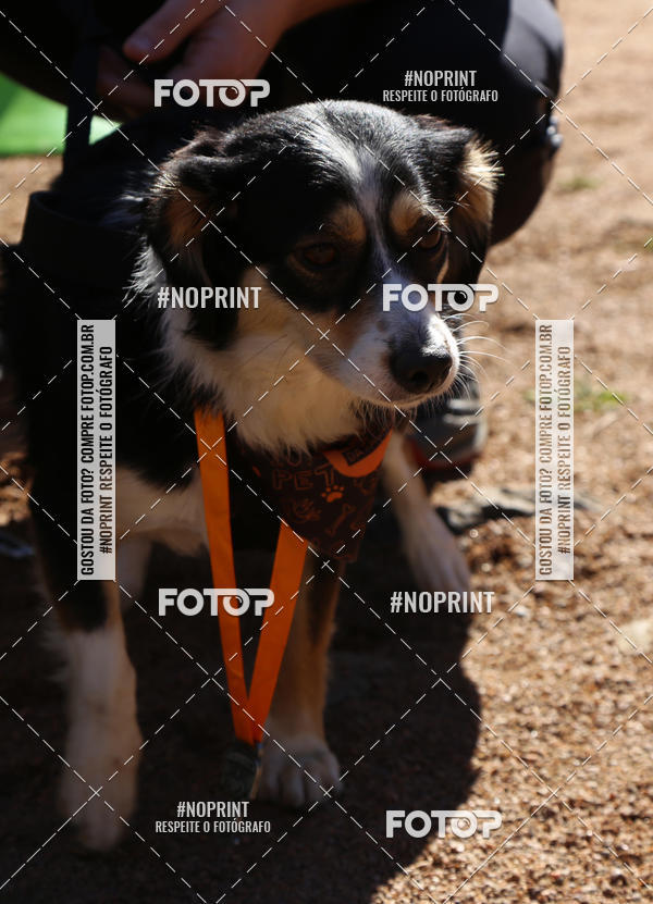 Buy your photos of the eventVai Tot� Canicross Caxias do Sul on Fotop