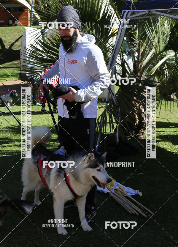 Buy your photos of the eventVai Tot� Canicross Caxias do Sul on Fotop