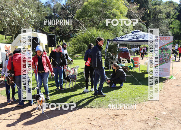 Buy your photos of the eventVai Tot� Canicross Caxias do Sul on Fotop