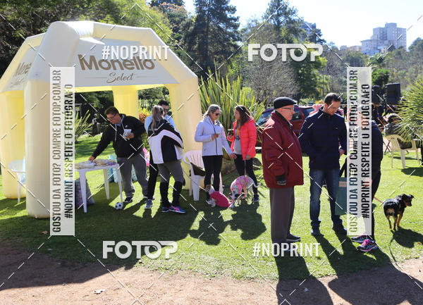 Buy your photos of the eventVai Tot� Canicross Caxias do Sul on Fotop