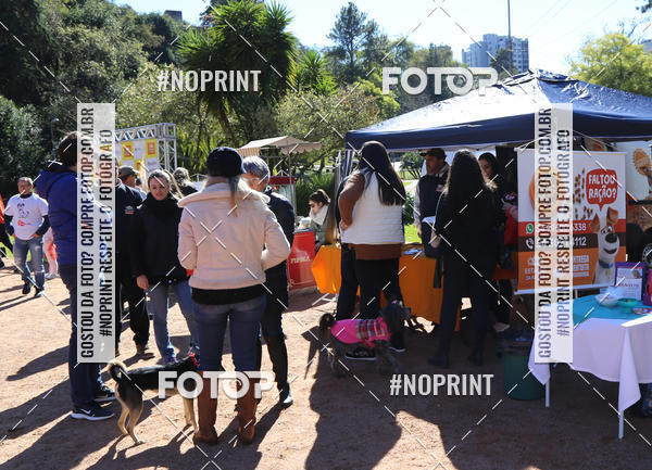 Buy your photos of the eventVai Tot� Canicross Caxias do Sul on Fotop