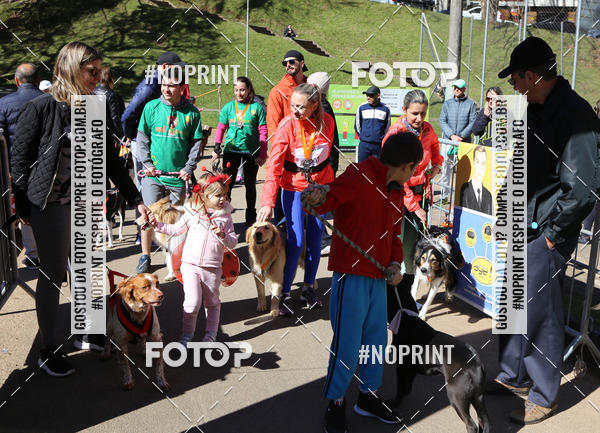 Buy your photos of the eventVai Tot� Canicross Caxias do Sul on Fotop