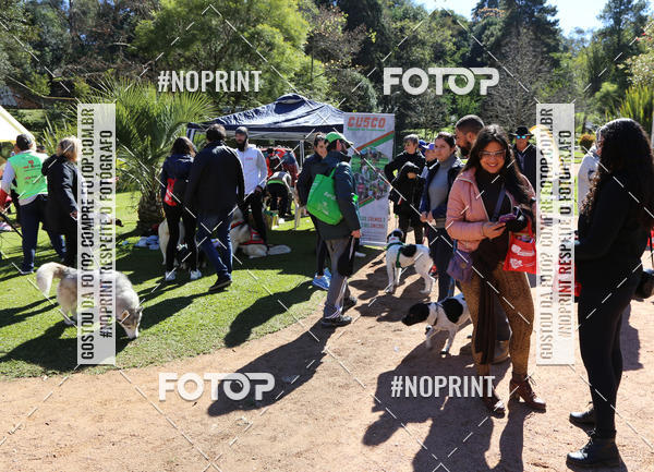 Buy your photos of the eventVai Tot� Canicross Caxias do Sul on Fotop