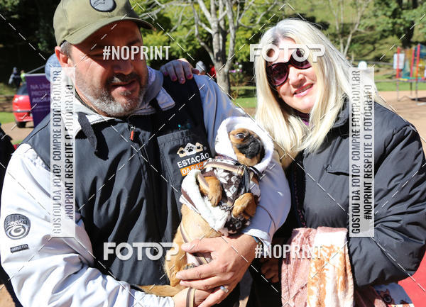 Buy your photos of the eventVai Tot� Canicross Caxias do Sul on Fotop