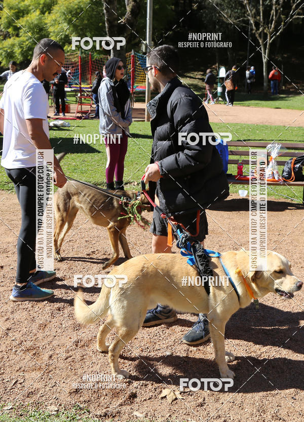 Buy your photos of the eventVai Tot� Canicross Caxias do Sul on Fotop