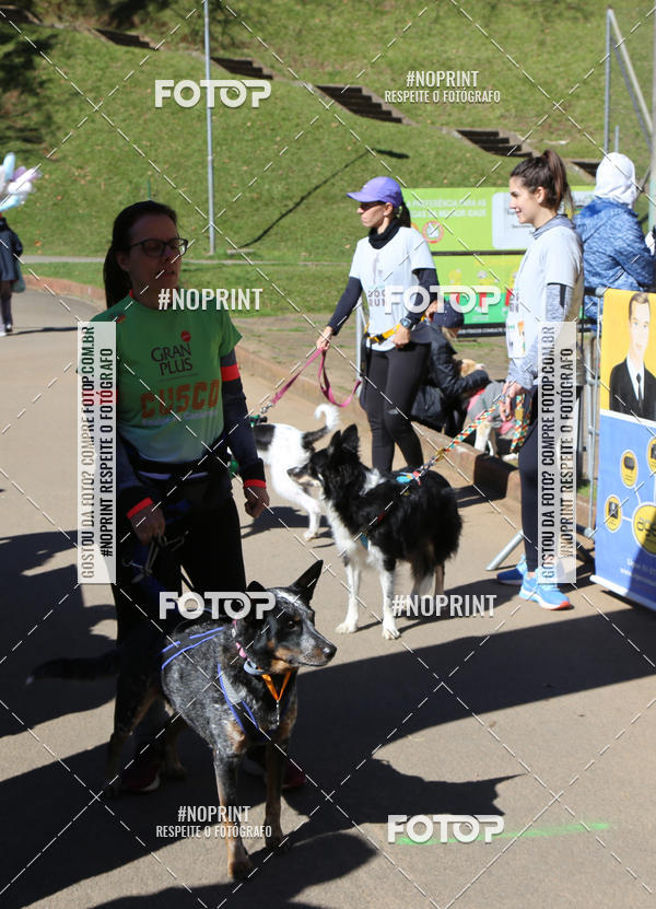 Buy your photos of the eventVai Tot� Canicross Caxias do Sul on Fotop