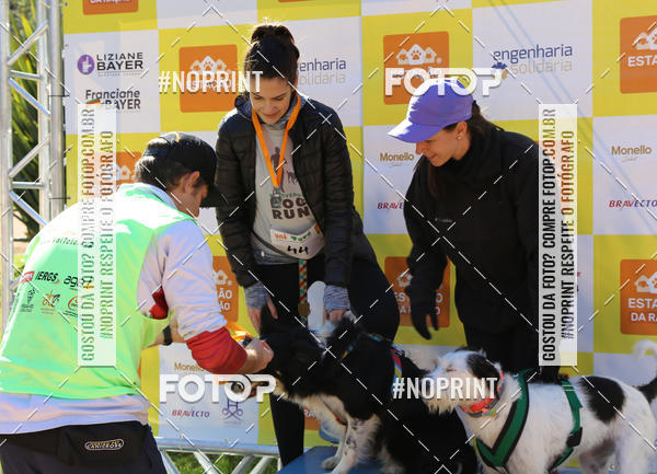 Buy your photos of the eventVai Tot� Canicross Caxias do Sul on Fotop