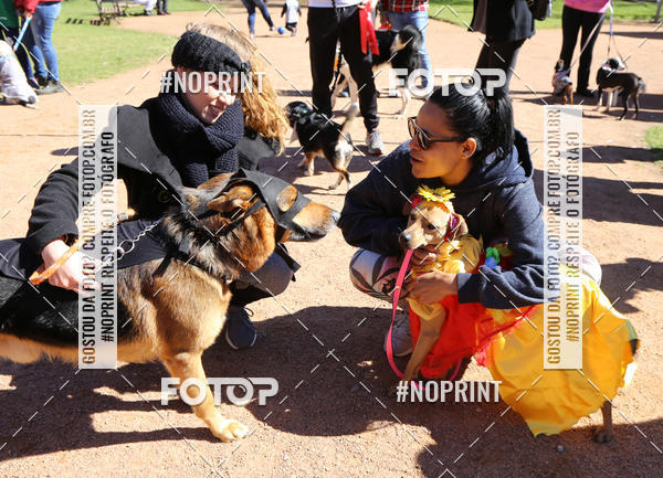 Buy your photos of the eventVai Tot� Canicross Caxias do Sul on Fotop