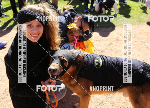 Buy your photos of the eventVai Tot� Canicross Caxias do Sul on Fotop