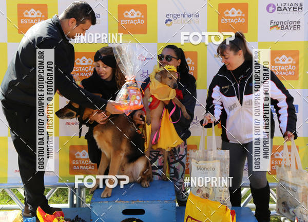 Buy your photos of the eventVai Tot� Canicross Caxias do Sul on Fotop