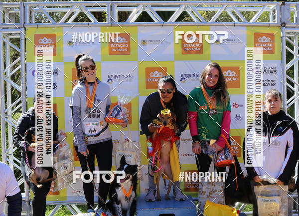 Buy your photos of the eventVai Tot� Canicross Caxias do Sul on Fotop