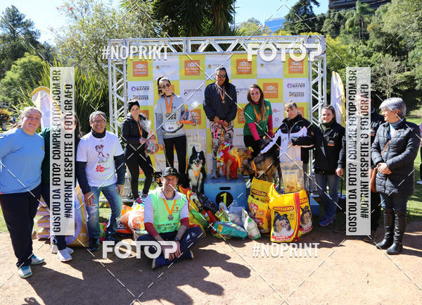 Buy your photos of the eventVai Tot� Canicross Caxias do Sul on Fotop
