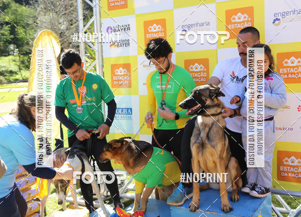 Buy your photos of the eventVai Tot� Canicross Caxias do Sul on Fotop