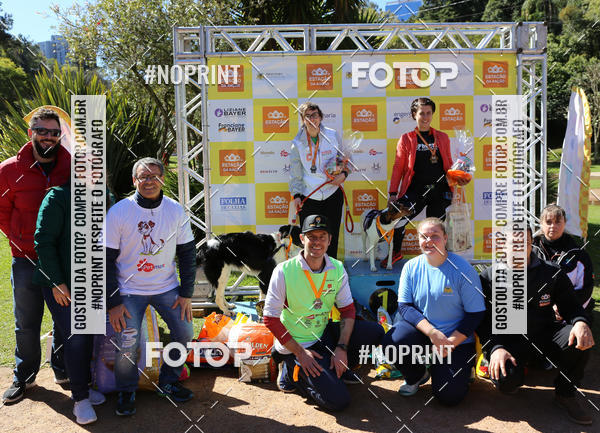 Buy your photos of the eventVai Tot� Canicross Caxias do Sul on Fotop