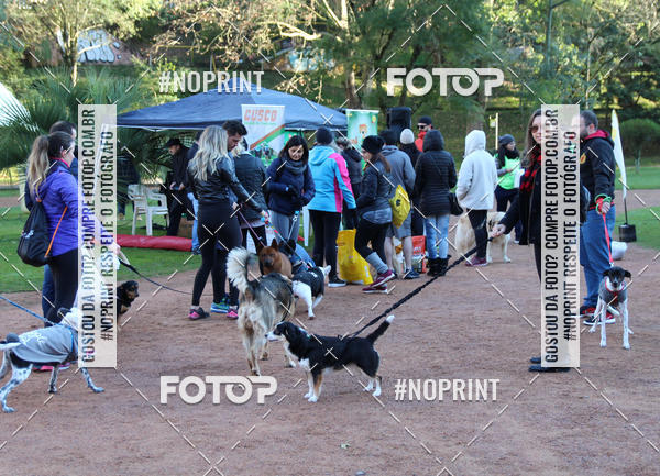 Buy your photos of the eventVai Tot� Canicross Caxias do Sul on Fotop