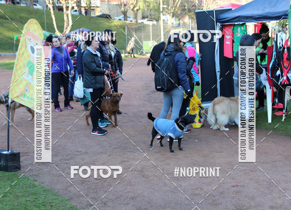 Buy your photos of the eventVai Tot� Canicross Caxias do Sul on Fotop
