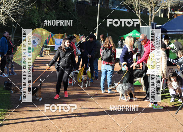 Buy your photos of the eventVai Tot� Canicross Caxias do Sul on Fotop