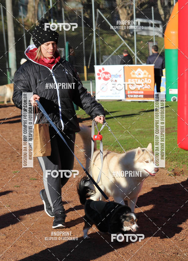 Buy your photos of the eventVai Tot� Canicross Caxias do Sul on Fotop