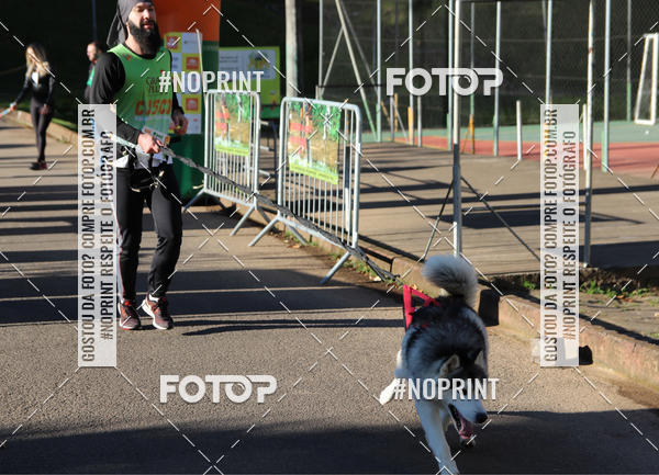 Buy your photos of the eventVai Tot� Canicross Caxias do Sul on Fotop