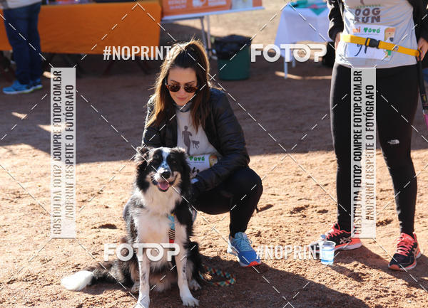 Buy your photos of the eventVai Tot� Canicross Caxias do Sul on Fotop