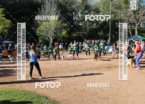 Buy your photos of the eventVai Tot� Canicross Caxias do Sul on Fotop