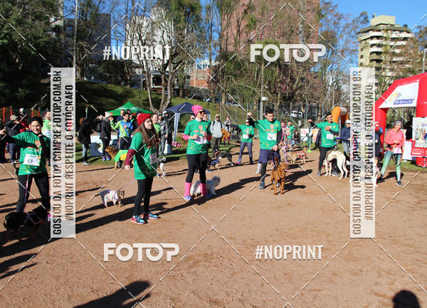 Buy your photos of the eventVai Tot� Canicross Caxias do Sul on Fotop