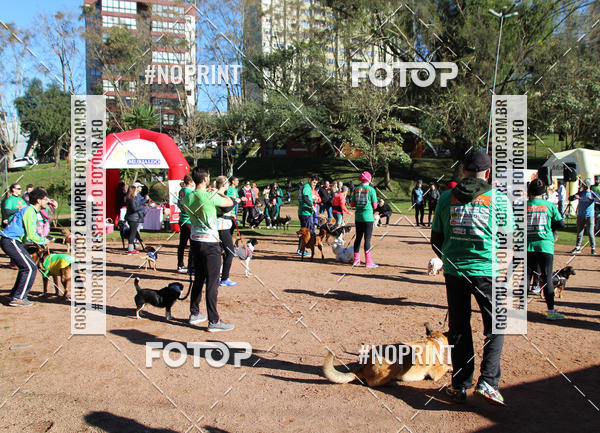 Buy your photos of the eventVai Tot� Canicross Caxias do Sul on Fotop