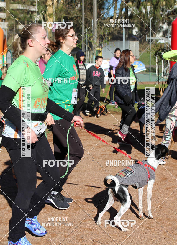 Buy your photos of the eventVai Tot� Canicross Caxias do Sul on Fotop