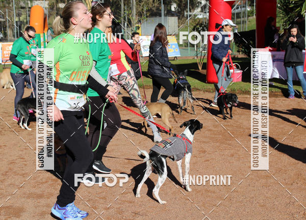 Buy your photos of the eventVai Tot� Canicross Caxias do Sul on Fotop