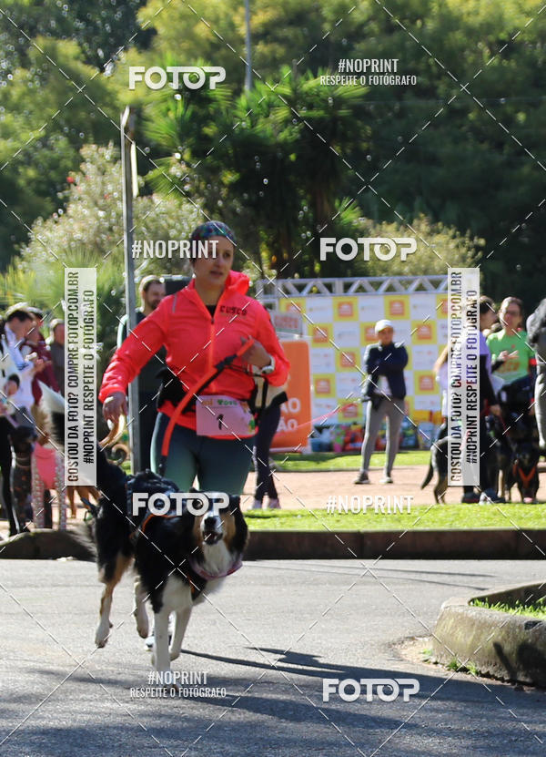 Buy your photos of the eventVai Tot� Canicross Caxias do Sul on Fotop