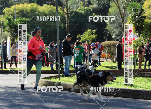 Buy your photos of the eventVai Tot� Canicross Caxias do Sul on Fotop