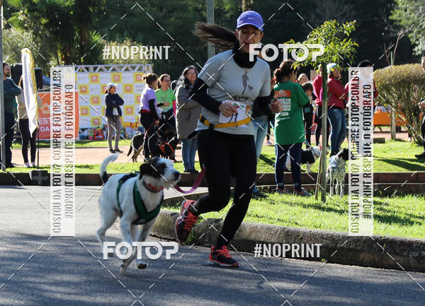 Buy your photos of the eventVai Tot� Canicross Caxias do Sul on Fotop