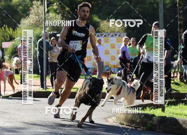 Buy your photos of the eventVai Tot� Canicross Caxias do Sul on Fotop