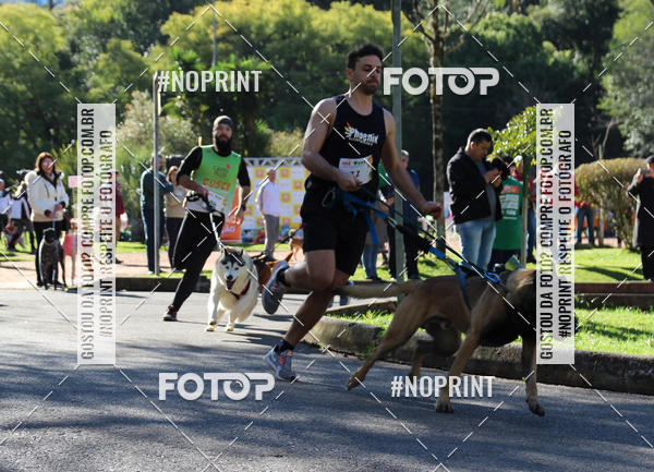 Buy your photos of the eventVai Tot� Canicross Caxias do Sul on Fotop