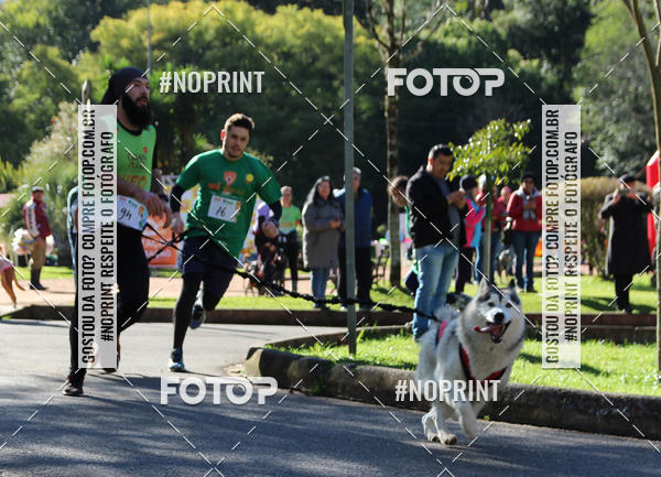 Buy your photos of the eventVai Tot� Canicross Caxias do Sul on Fotop