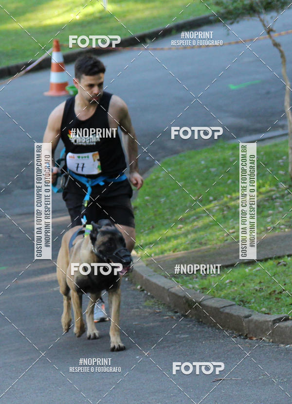 Buy your photos of the eventVai Tot� Canicross Caxias do Sul on Fotop